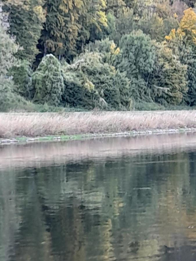 Why Not Strandblick Appartamento Polle Esterno foto