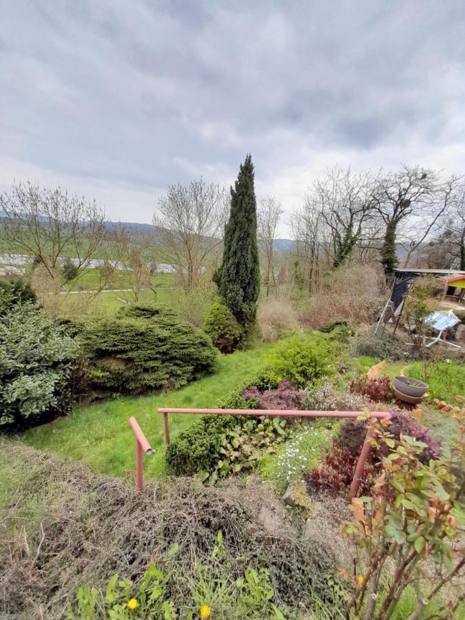 Why Not Strandblick Appartamento Polle Esterno foto